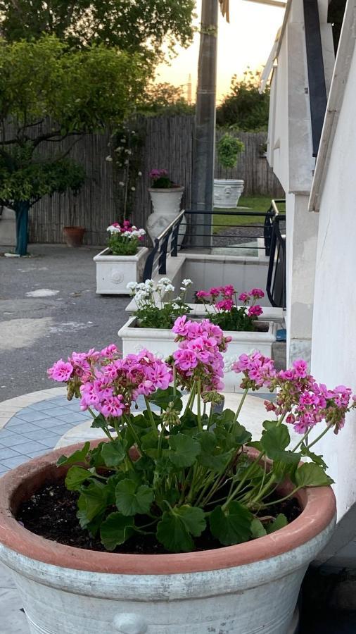 Bed and Breakfast Pompei Gryllus Exterior foto